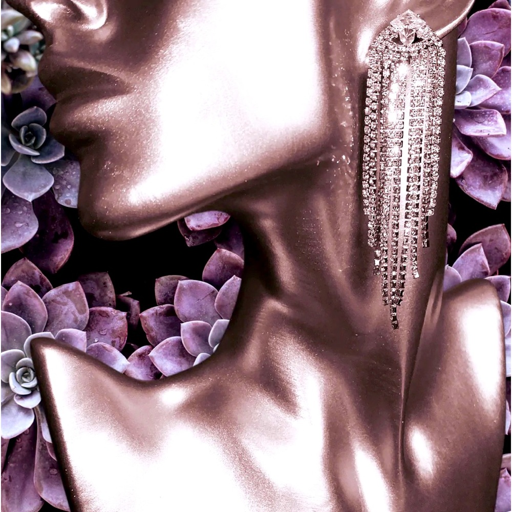 Dazzled Earrings